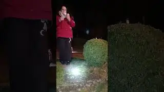 Devant le château de la forêt 