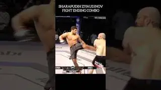 Комбо, завершающее бой! #санкционированноенасилие #ММА