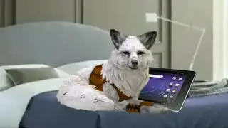 Малая... (🐺🦊WCMV🦊🐺)