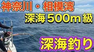 【相模湾・水深５３０m】闇の世界で海底の獲物を捉えるレーダー搭載の深海魚！