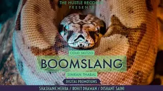 Boomslang (Audio) | Cold Skitzo