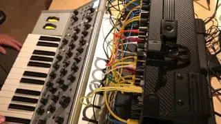 Moog Subsequent 37 CV with Eurorack Modular demo