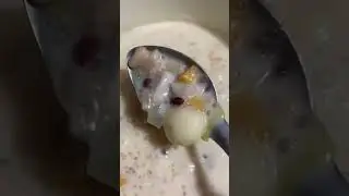 BILOBILO | BINIGNIT | LUGAW |SINDOL😁😋