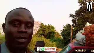 CONGO MOUTAMPA ET MBINZA *2 LIONS BLESSES* APPEL A LA DIASPORA CHAPITRE 3