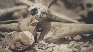 Son of man, can these bones live? Ezekiel 37