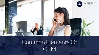 Common Elements of CRM | Dynamics CRM 2016 | What is CRM | Magnifez IT Training