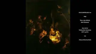 Bas Ramselaar zingt 'Herr, dein Mitleid, dein Erbarmen', Weihnachts Oratorium BWV 248 III, J.S. Bach