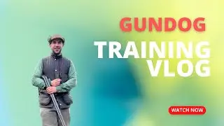 VLOG: Woody's Training Ernie&nbsp;to Work Around Other Dogs