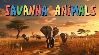 Savanna Animals for Kids | Children's Vocabulary | English Flashcards