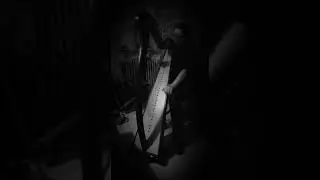 Kejadenn - Gwenael Kerleo - Celtic Harp