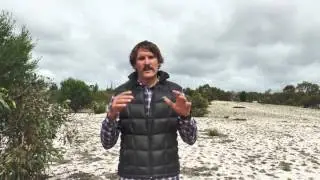 Rewilding the Desert - An initiative of Conservation Volunteers Australia