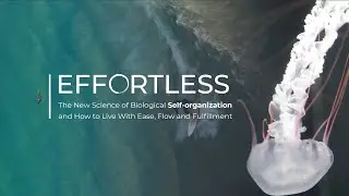Effortless: The new science of self-organization and how to live with ease, flow and fulfillment