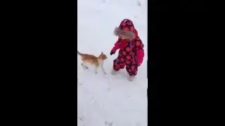 Cat Body Slams A Kid In Winter