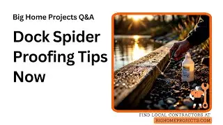 WebOut Granular Dock Treatment Tips for Spiders