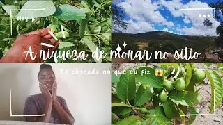 Quem mora na ro&ccedil;a vive diferente_e eu te provo😌/de Salvador para o s&iacute;tio🛍️🛒 que fizeram a diferen&ccedil;a🥹