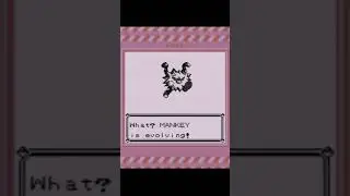 Evolution Of Mankey Into Primape In Pokemon Red #shorts