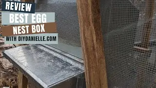 The Best Egg Nest Box: A MUST HAVE for Every Chickenkeeper