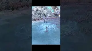 Archeage - Gunner Combat in Garden of the Gods (Faelight Wings)