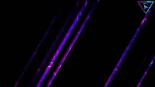 ANIMATED STINGER TRANSITION 