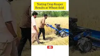 Superfast 🤯#harvesting #machine Crop Reaper at very low price 💸 #wheatharvesting
