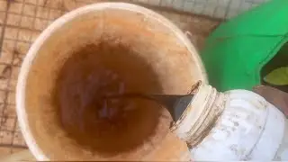 மீன் அமிலத்தின் ரகசியம் இது தான் | fish amino acid secret | garden | harvest | terrace garden | grow