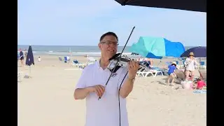 Professional Violinist- 