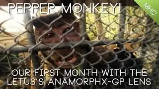 Pepper Monkey!