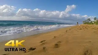 Maui beach waves and ocean sounds. January 2024. Relaxing sites and sounds.