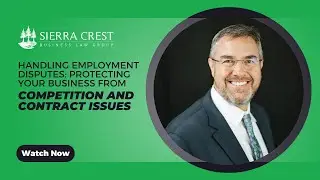 Handling Employment Disputes: Protecting Your Business from Competition and Contract Issues