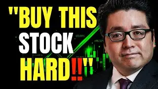 Tom Lee: 