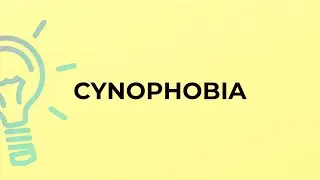 What is the meaning of the word CYNOPHOBIA?