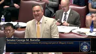 Sen. Borrello's Remarks on the Dunkirk $13.7 Million Loan Legislation