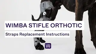 WIMBA Stifle Orthosis | Straps Replacement Instructions