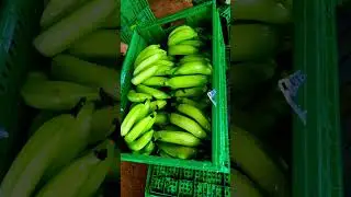 Le pH est capital dans le succ&egrave;s de tout projet de plantation.#PH #IMPORTANT