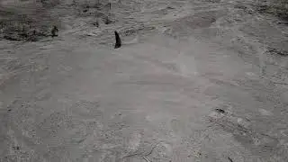 Solar Eclipse Shadow Snakes Phenomena (Full)