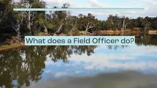 What does a field officer do?