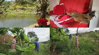 Mais um dia de trabalho aqui no sítio + vejam como esta ficando 
