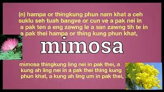 mimosa meaning in English Ngawn