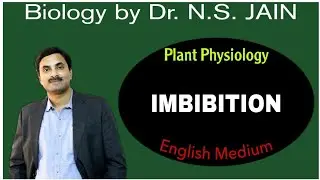 Imbibition (Plant Physiology) | English Medium