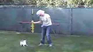 DOG AUDITION HATTYCAKES BAKERSMAN - Demo for producer