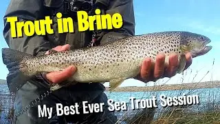 Autumn Sea Trout Fishing