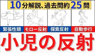 【解説時間10分】小児の反射について解説