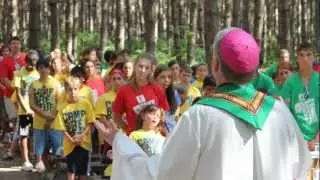 Bishop's Introduction