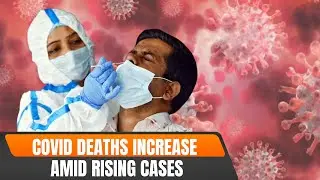 LIVE: India Sees Gradual Rise in COVID-19 Cases; Kerala Worst Hit Amid Fresh Deaths | News9
