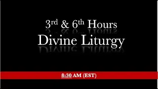 8:30 AM (EST) Sunday - 3rd & 6th hours & Divine Liturgy