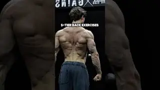 S-Tier back exercises