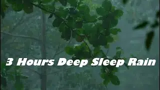3 Hours of Gentle Night Rain 🌧️ | Rain Sounds for Deep Sleep & Relaxation