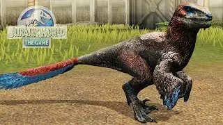 DEINONYCHUS EVOLUCIÓN!! nuevo dinosaurio carnivoro raptor en el parque de Jurassic World El Juego