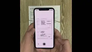 recover light demo new v2