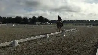 Lauren Barwick June Show-First Level Test Two